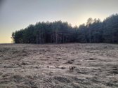2,7 ha sklypas su mišku Trakų r. Mamavio k. - nuotraukos Nr. 2