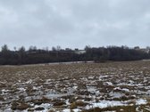 Galima nuoma 2999 eur.viso sklypo metams - nuotraukos Nr. 9