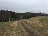 Galima nuoma 2999 eur.viso sklypo metams - nuotraukos Nr. 8
