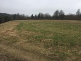 Galima nuoma 2999 eur.viso sklypo metams - nuotraukos Nr. 11