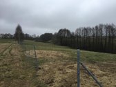 Galima nuoma 2999 eur.viso sklypo metams - nuotraukos Nr. 12