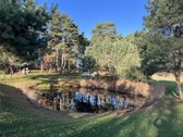Parduodamas Ypatingai Jaukus 80m2 Namas - nuotraukos Nr. 12