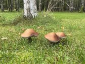 Parduodamas Ypatingai Jaukus 80m2 Namas - nuotraukos Nr. 18