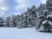 Parduodamas Ypatingai Jaukus 80m2 Namas - nuotraukos Nr. 19