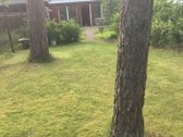 Varėnos rajone , Naujųjų Valkininkų k. - nuotraukos Nr. 10