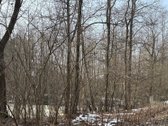Parduodamas 31 a. mažaaukščių gyvenamųjų namų - nuotraukos Nr. 4