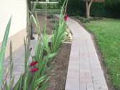 Parduodamas sodo namas (vasarnamis) Vyturių - nuotraukos Nr. 14