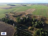 Kairiajame Nemuno krante įsikūrusiame Panaros