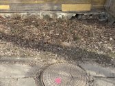 Parduodamas namas rekonstrukcijai Semeliškių m - nuotraukos Nr. 3