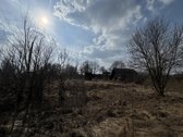 Parduodamas sklypas su sodyba ramioje vietoje - nuotraukos Nr. 10
