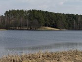 Parduodamas sklypas su sodyba ramioje vietoje - nuotraukos Nr. 11
