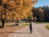 Erdvus dviejų aukštų butas tikrojo Žvėryno - nuotraukos Nr. 27