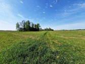 Parduodamas 13,35 ha žemės ūkio paskirties - nuotraukos Nr. 3