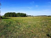 Parduodamas 13,35 ha žemės ūkio paskirties - nuotraukos Nr. 6