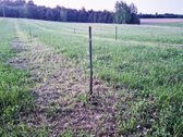 Parduodamas 13,35 ha žemės ūkio paskirties - nuotraukos Nr. 7