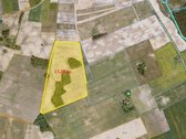 Parduodamas 13,35 ha žemės ūkio paskirties - nuotraukos Nr. 8