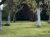 Pačiame Lietuvos viduryje, gražiame ir - nuotraukos Nr. 13
