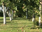 Pačiame Lietuvos viduryje, gražiame ir - nuotraukos Nr. 14