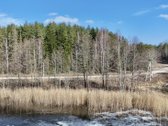 Sklypas prie ežero  Trakų r., Krunio k. - nuotraukos Nr. 5