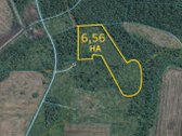 Parduodamas 6,56 ha žemės ūkio ,