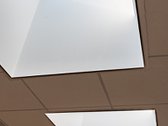 Nuomojamos Administracinės, Paslaugų Patalpos - nuotraukos Nr. 5