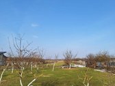 Parduodamas sklypas Liepinėje, 5502'31.8"n
