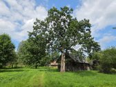 Sodyba Prie Anykščių: Autentiškas Kaimo - nuotraukos Nr. 23