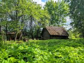 Sodyba Prie Anykščių: Autentiškas Kaimo - nuotraukos Nr. 17
