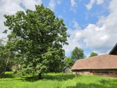 Sodyba Prie Anykščių: Autentiškas Kaimo - nuotraukos Nr. 24