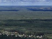 1.66ha žemės ūkio paskirties sklypas,galima - nuotraukos Nr. 5