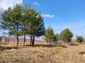 Parduodamas Sklypas Išskirtinėje Vietoje Prie - nuotraukos Nr. 3