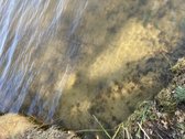 Druskininkų savivaldybėje, labai gražioje - nuotraukos Nr. 5