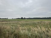 Parduodamas žemės sklypas. Žemės ūkio - nuotraukos Nr. 5