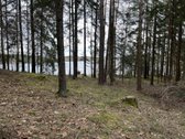 Parduodamas 24 arų namų valdos sklypas - nuotraukos Nr. 9