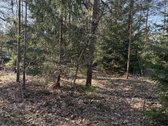 Anyksciu rajone, Simoniu girioje ypatingai - nuotraukos Nr. 11