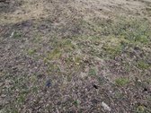 Parduodamas tvarkingas, 12,27 arų žemės - nuotraukos Nr. 2