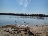 Nuomojama 80 m. Nemuno pakrantė su galimybe - nuotraukos Nr. 7