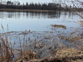 Nuomojama 80 m. Nemuno pakrantė su galimybe - nuotraukos Nr. 12