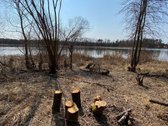 Nuomojama 80 m. Nemuno pakrantė su galimybe - nuotraukos Nr. 13