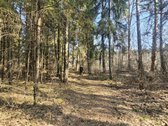 Išskirtinis sklypas Anykščių šilelyje - nuotraukos Nr. 13