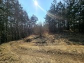 Išskirtinis sklypas Anykščių šilelyje - nuotraukos Nr. 7