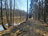 Išskirtinis sklypas Anykščių šilelyje - nuotraukos Nr. 14