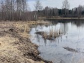 Parduodamas žemės sklypas Žemaitijoje, Telšių r. - nuotraukos Nr. 2