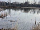 Parduodamas žemės sklypas Žemaitijoje, Telšių r. - nuotraukos Nr. 3