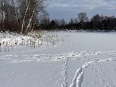 Parduodamas žemės sklypas Žemaitijoje, Telšių r. - nuotraukos Nr. 8