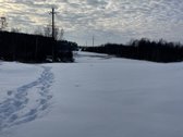 Parduodamas žemės sklypas Žemaitijoje, Telšių r. - nuotraukos Nr. 9