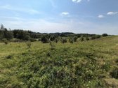 Parduodama be tarpininkų.