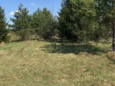 Parduodamas 1 ha sodybinis sklypas. - nuotraukos Nr. 7