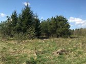 Parduodamas 1 ha sodybinis sklypas. - nuotraukos Nr. 6