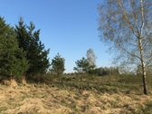 Parduodamas 1 ha sodybinis sklypas. - nuotraukos Nr. 8